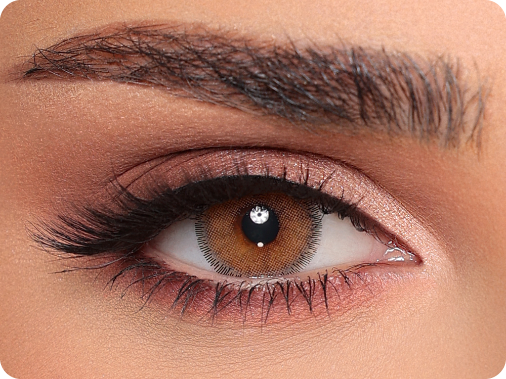 Luminous Latin Brown Monthly