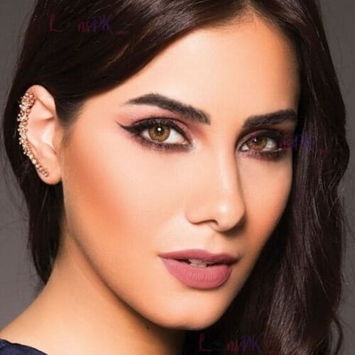 Freshlook Blend Pure Hazel